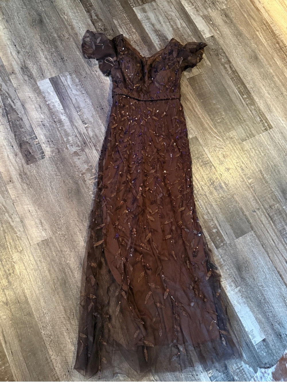 Elegant Brown Embellished Evening Gown